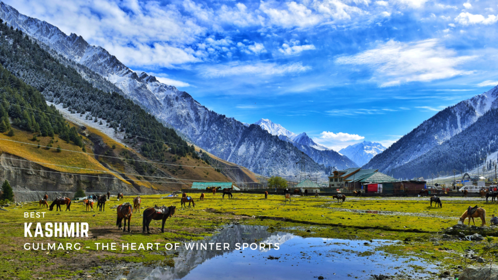 Top Winter Attractions in Kashmir