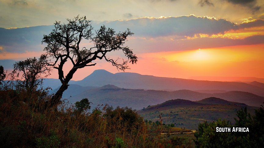 #SouthAfrica #ExploreSouthAfrica #TravelVlog #CapeTown #KrugerNationalPark #TableM